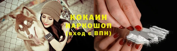 ешки Пестово