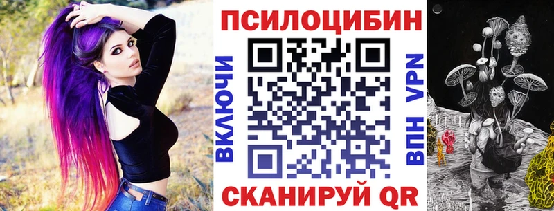 Купить где  Светлый  Галлюциногенные грибы прущие грибы 